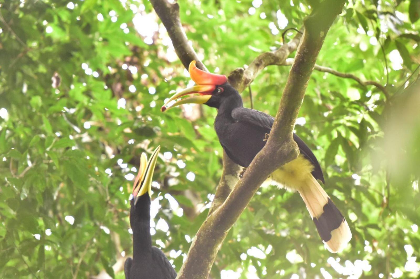 R5 Keramba Inn Bukit Lawang Eksteriør billede